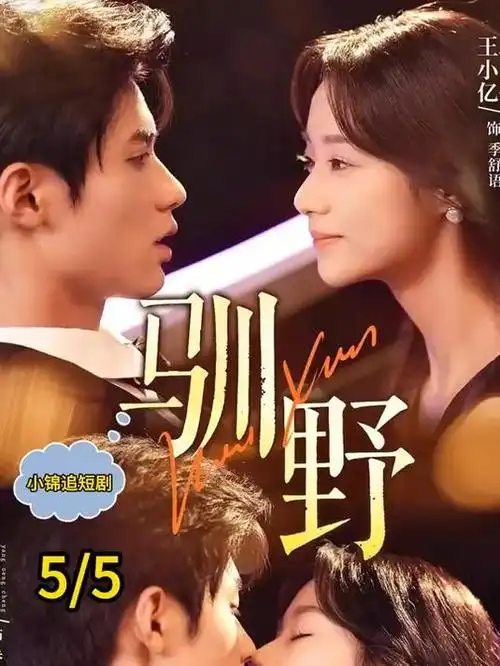 医疗职场剧白色回声全集免费观看